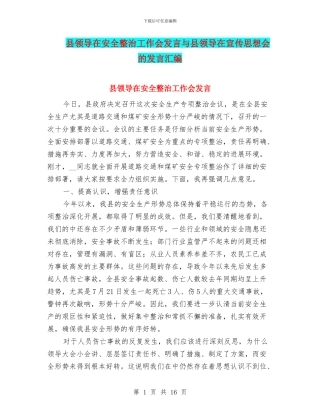 县领导在安全整治工作会发言与县领导在宣传思想会的发言汇编