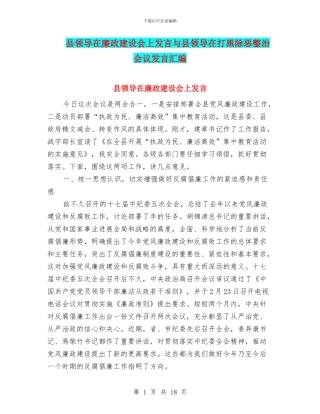 县领导在廉政建设会上发言与县领导在打黑除恶整治会议发言汇编