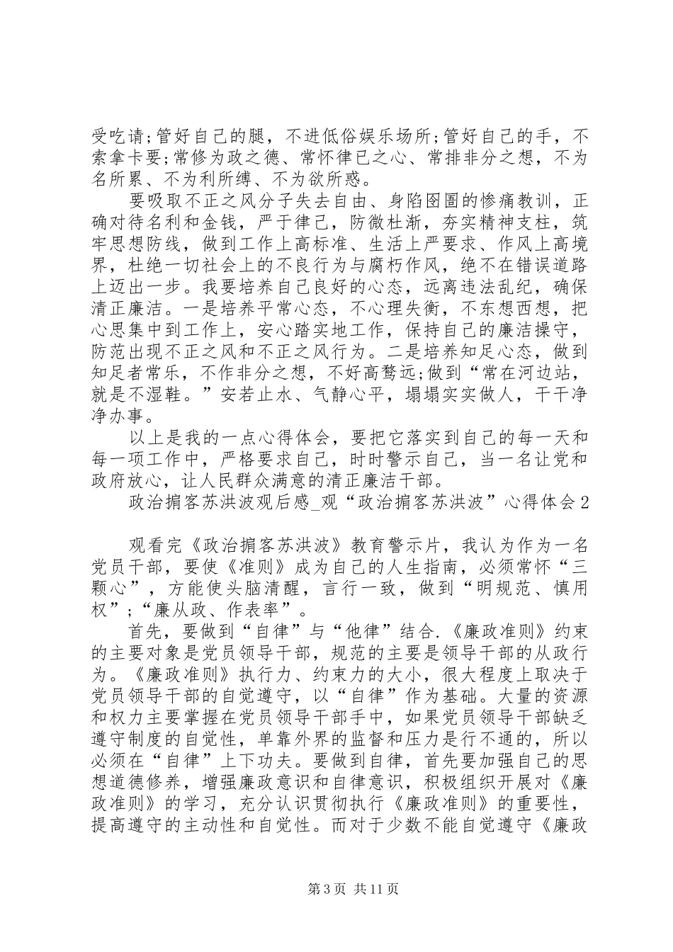 20XX年政治掮客苏洪波观后感_第3页