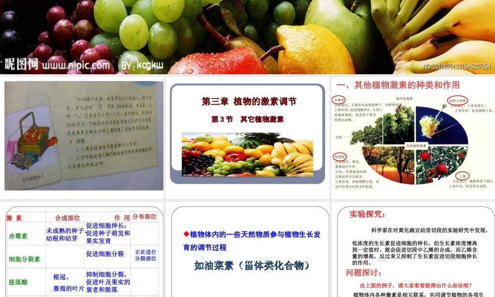 标题：其他植物激素