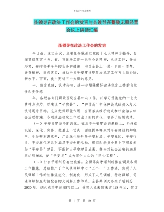 县领导在政法工作会的发言与县领导在整顿无照经营会议上讲话汇编
