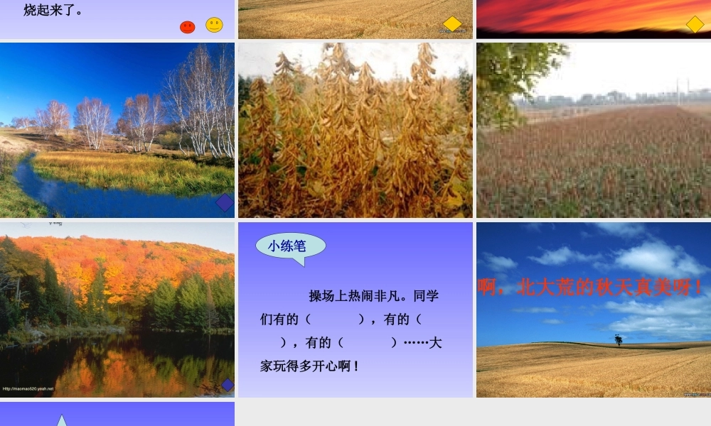 《北大荒的秋天》4