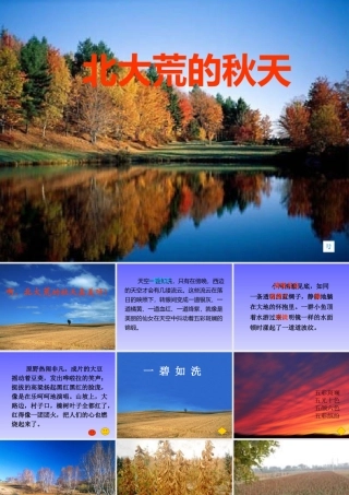 《北大荒的秋天》4