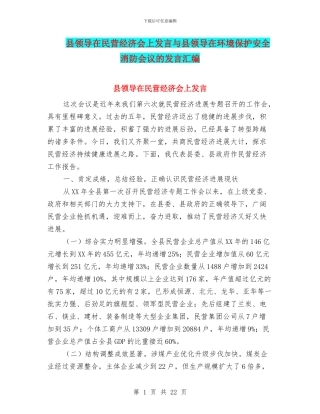 县领导在民营经济会上发言与县领导在环境保护安全消防会议的发言汇编