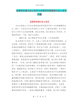 县领导在统计会上发言与县领导在财税审计会上讲话汇编