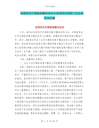 县领导在打黑除恶整治讲话与县领导在招商工作会的发言汇编