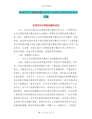 县领导在打黑除恶整治讲话与县领导在扶贫会的讲话汇编