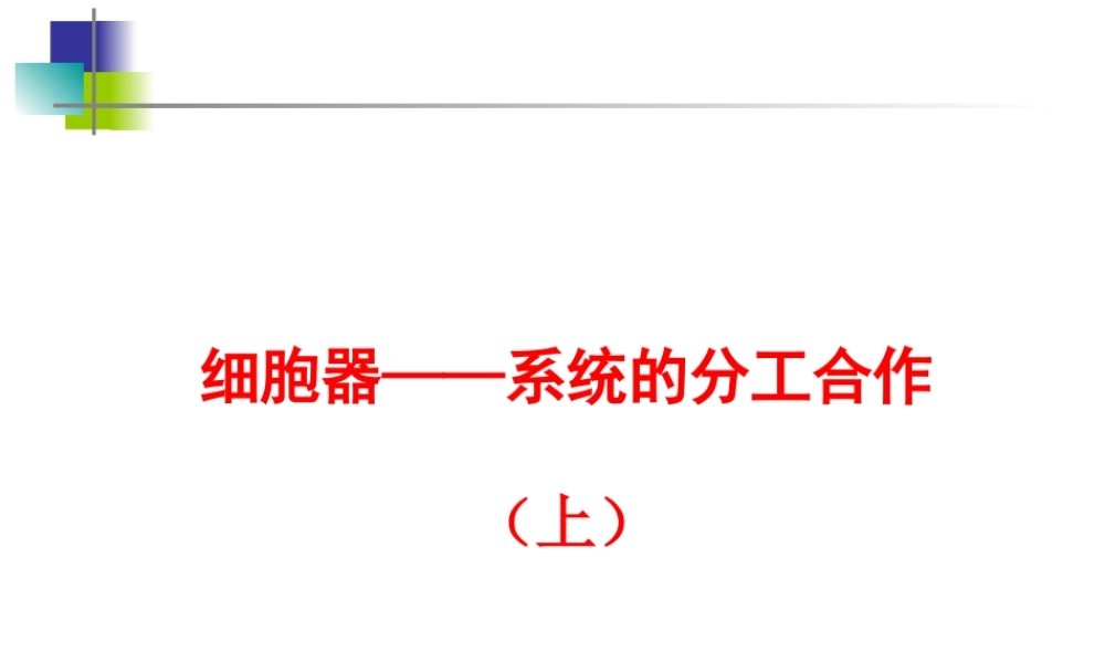 2016级用人教版必修1第3章第2节细胞器——系统内的分工合作（共张PPT）