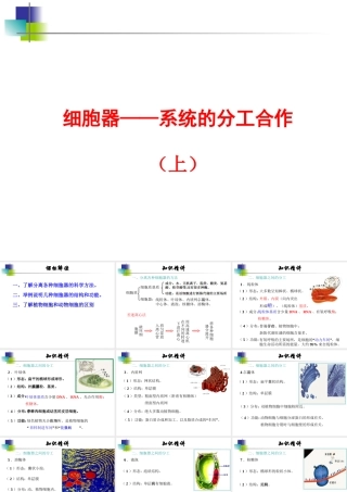 2016级用人教版必修1第3章第2节细胞器——系统内的分工合作（共张PPT）