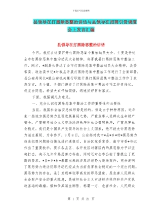 县领导在打黑除恶整治讲话与县领导在招商引资调度会上发言汇编