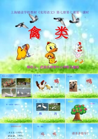培智语文《禽类》课件