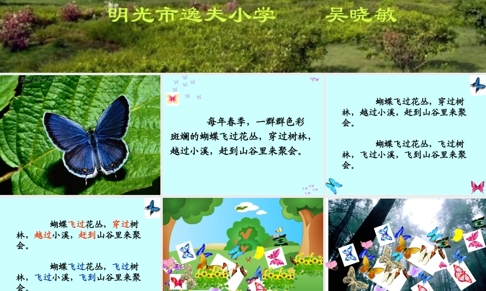 《台湾的蝴蝶谷》PPT