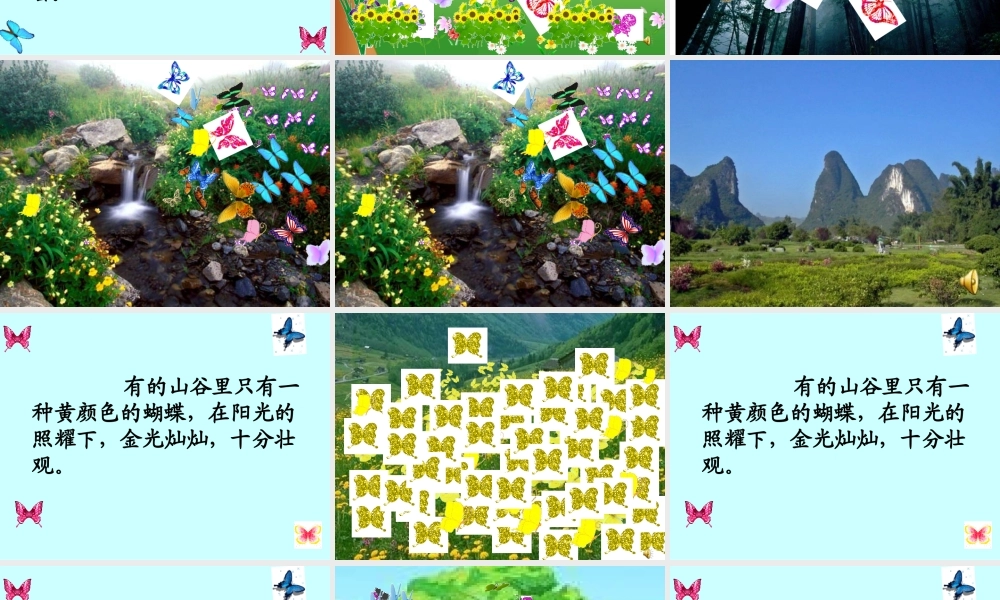 《台湾的蝴蝶谷》PPT