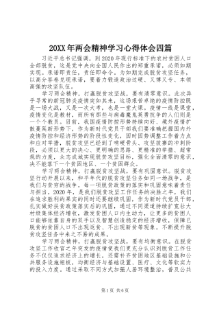 20XX年两会精神学习心得体会四篇