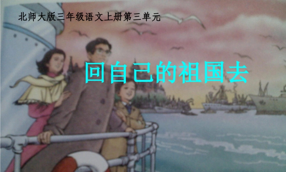 回自己的祖国去课件