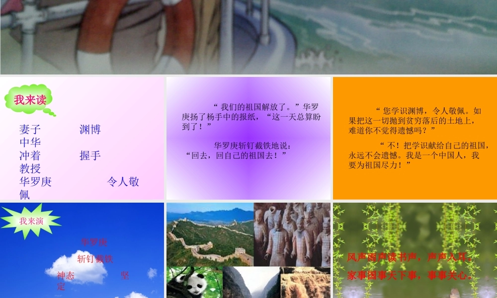 回自己的祖国去课件