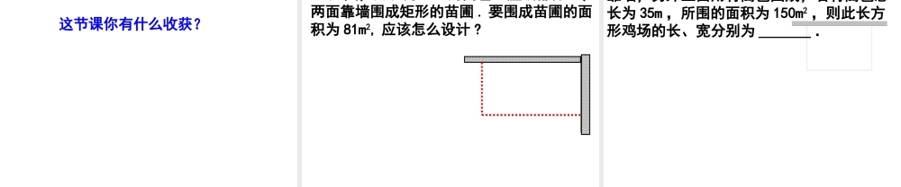 实际问题与一元二次方程（3）