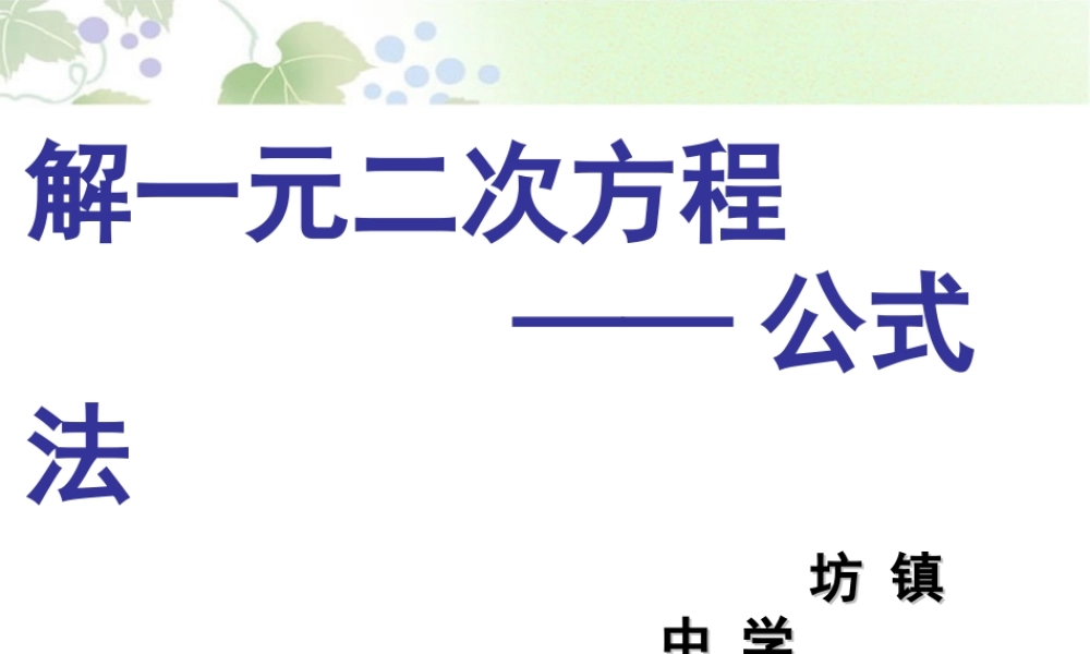 公式法解一元二次方程2个课时的课件