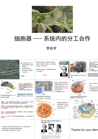 人教版生物必修1细胞器