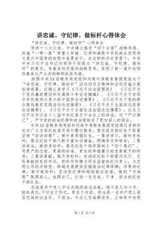 讲忠诚、守纪律、做标杆心得体会