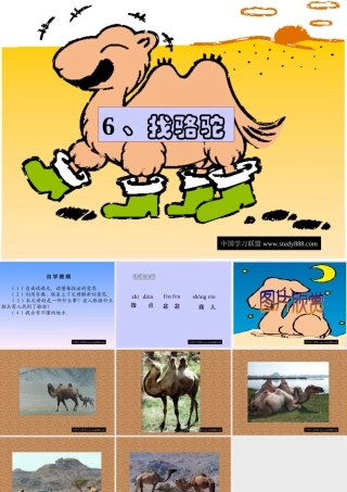 小学三年级语文找骆驼［人教版］