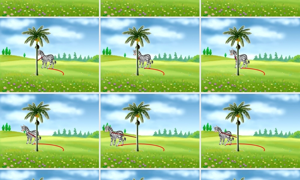 圆的面积教学课件