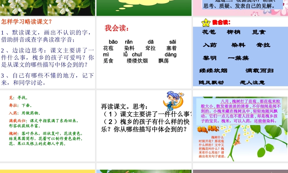 人教版三年级语文上册第4课《槐乡的孩子》PPT课件