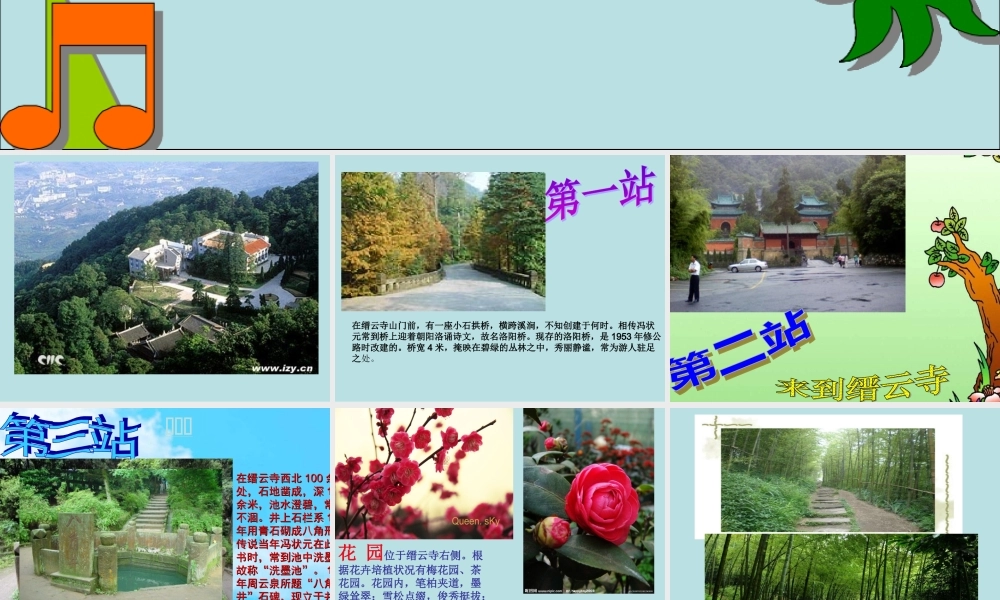 缙云山的的植物