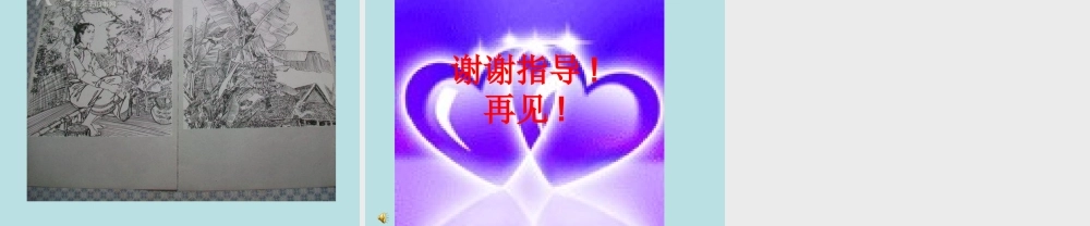 缙云山的的植物