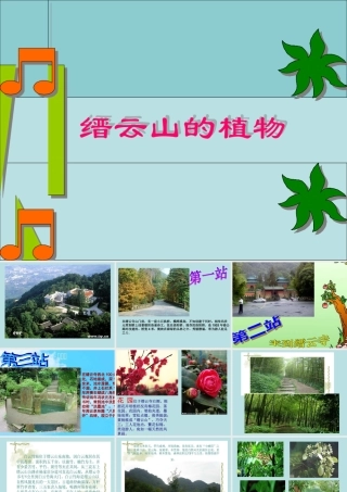 缙云山的的植物