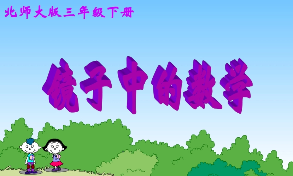 《镜子中的数学》