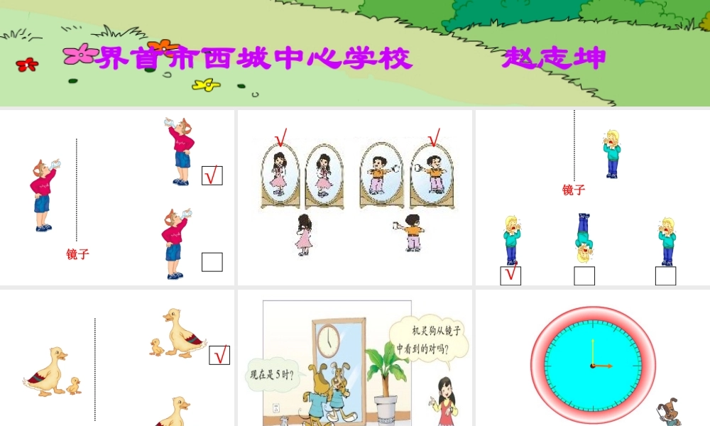 《镜子中的数学》