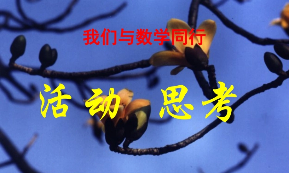 活动思考李课件