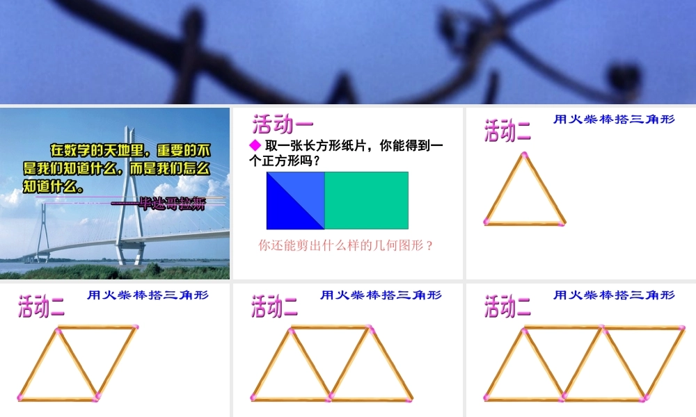 活动思考李课件