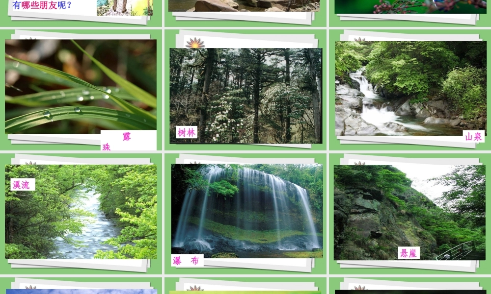 《山中访友》课件4