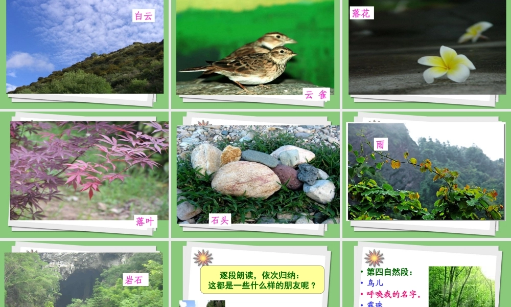 《山中访友》课件4