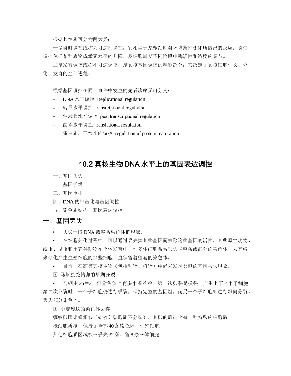 第9章真核生物基因表达的调控_第2页