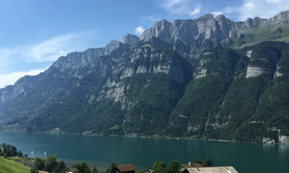 平行四边形的面积计算杨