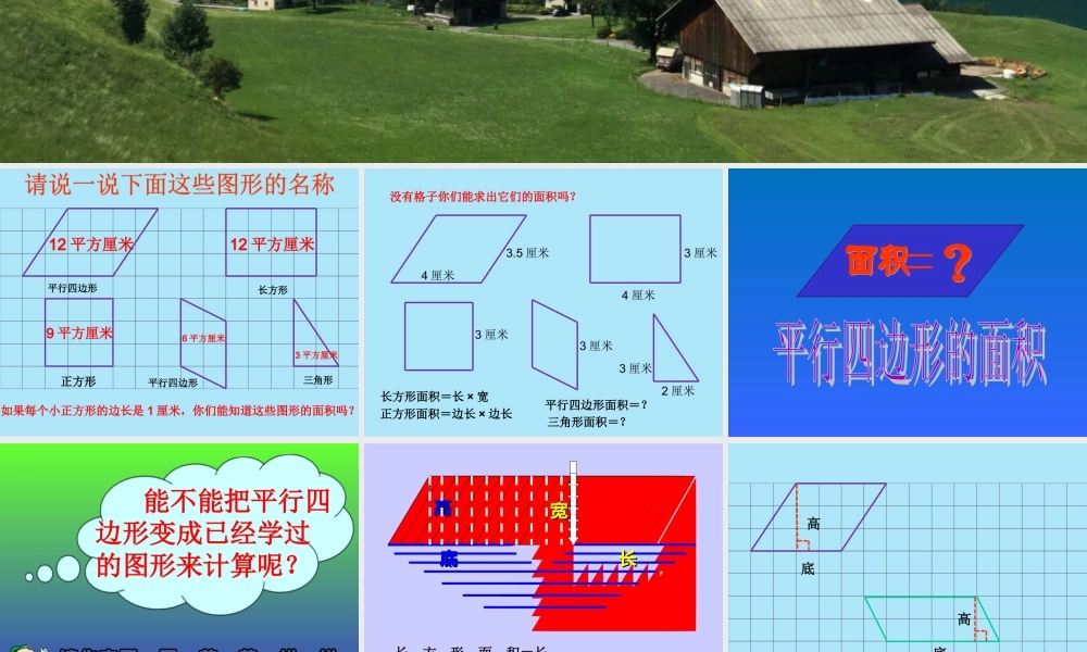 平行四边形的面积计算杨
