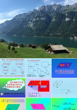 平行四边形的面积计算杨