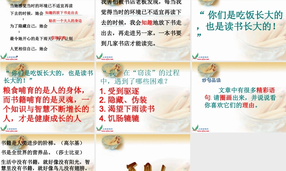 五年级语文上册第一组1窃读记课件