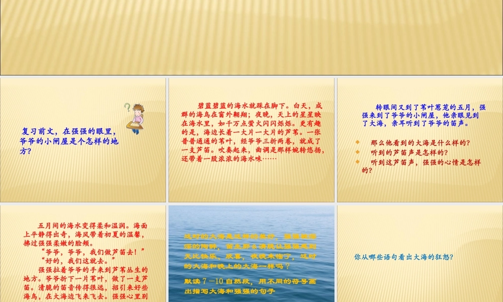 六年级语文上册爷爷的芦笛课件鄂教版