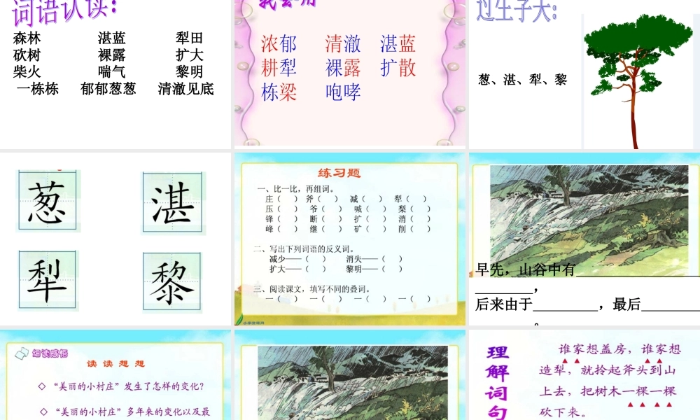 一个小村庄的故事 