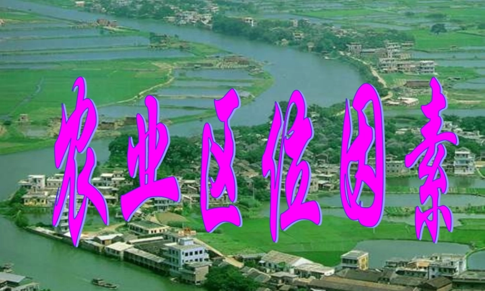 农业区位因素复习