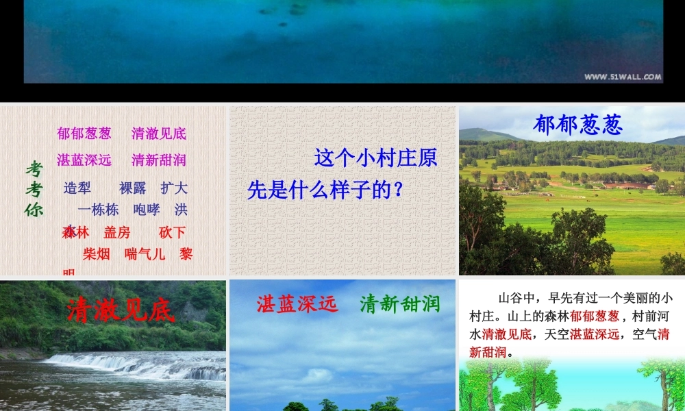 唐成章《一个小村庄的故事》的课件