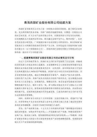 某矿业股份公司组建方案研讨