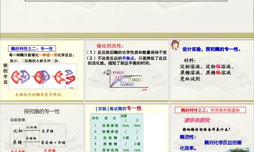第五章_第1节_降低化学反应活化能的酶(酶的特性)