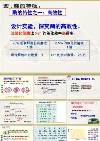 第五章_第1节_降低化学反应活化能的酶(酶的特性)