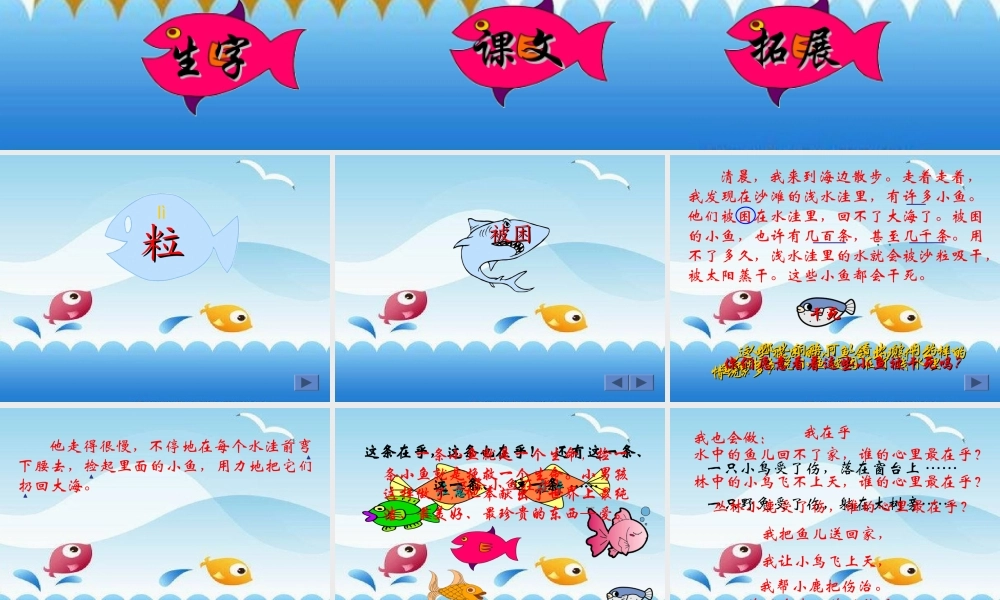 浅水洼里的小鱼MicrosoftPowerPoint演示文稿