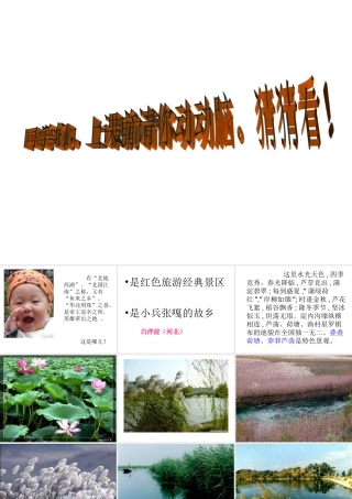 《芦花荡》课件（81页）